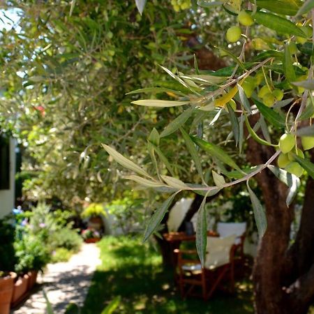 Regina Villa Kalo Chorio  Екстериор снимка