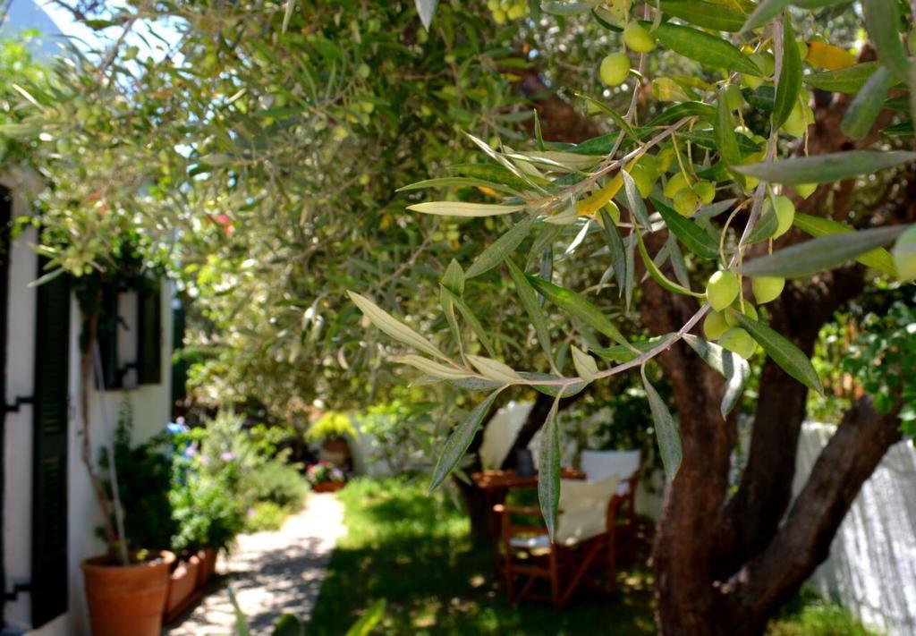 Regina Villa Kalo Chorio  Екстериор снимка